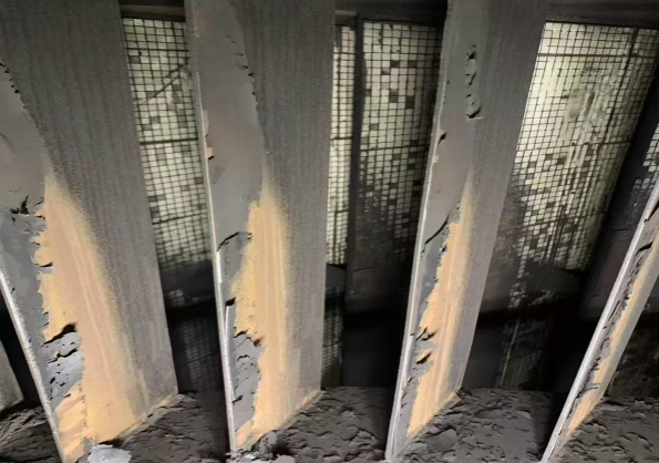 软件开发产品展示（朱雀系列）